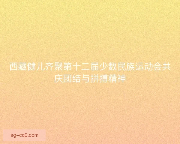 西藏健儿齐聚第十二届少数民族运动会共庆团结与拼搏精神